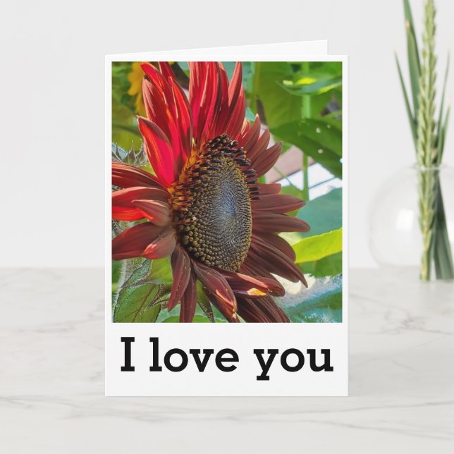 Abrazo de girasol - Tarjeta de amor de aniversario (Anverso)