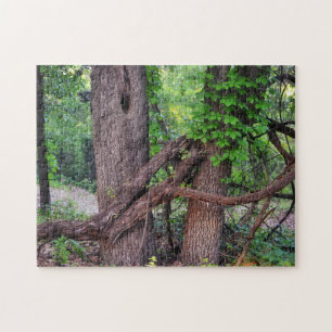 Abrazo de un árbol divertido rompecabezas natural
