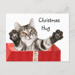 Abrazo del navidad del gatito