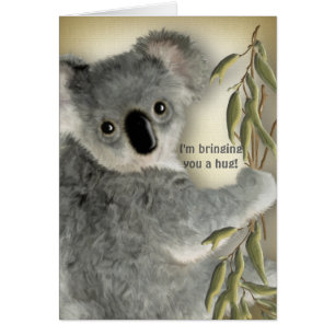 Abrazo lindo de la koala