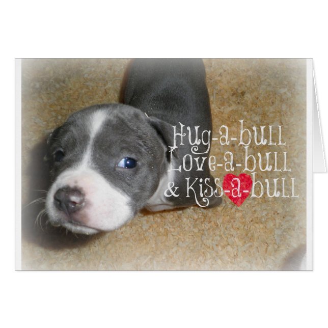 Abrazos de nariz azul (Anverso (Horizontal))