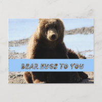 Abrazos de oso marrón de oso cubo de Alaska postal