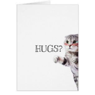 ¿ABRAZOS? Gatito