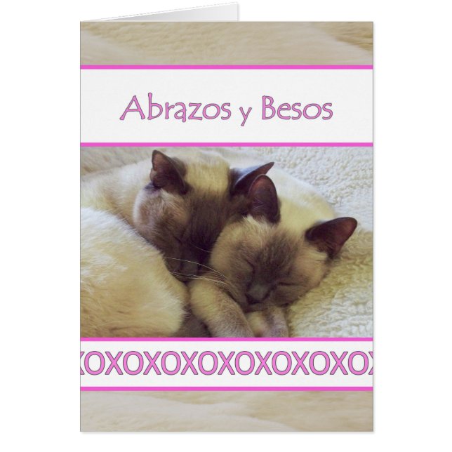 Abrazos y besos, abrazos y besos en español (Frente)
