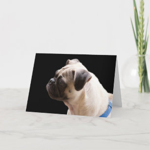 Abrazos y besos de pug tarjeta de cumpleaños foco 