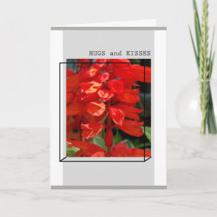 ABRAZOS Y BESOS - TARJETA DE FELICITACIÓN
