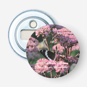 Abrebotellas Almirante blanco mariposa en Sedum rojo