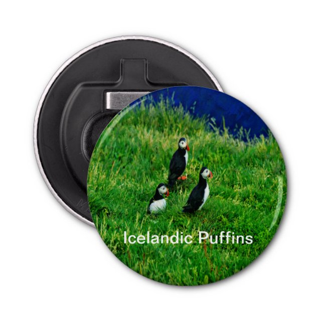 Abrebotellas Alumnos islandeses en verano (Anverso)