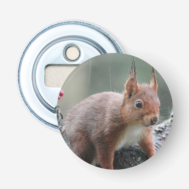 Abrebotellas Animal dulce (Anverso)