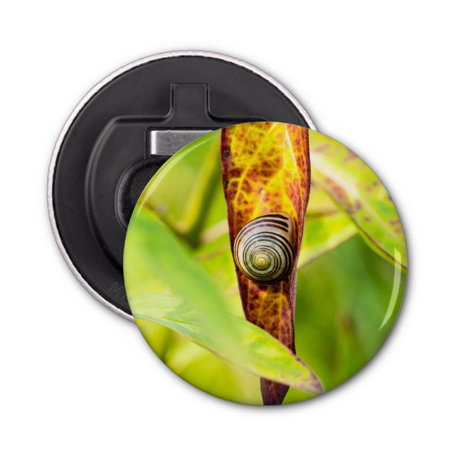 Abrebotellas apego (Anverso)