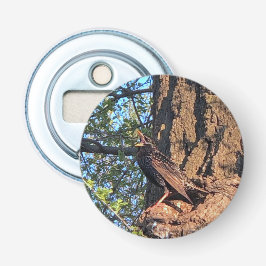 Abrebotellas Apertura de botellas de aves