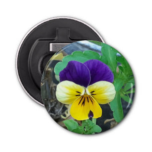 Abrebotellas Apertura de frascos de color morado y amarillo