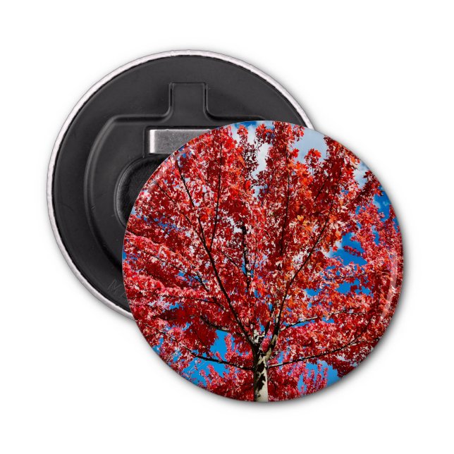 Abrebotellas Árbol de hojas rojas en otoño (Anverso)