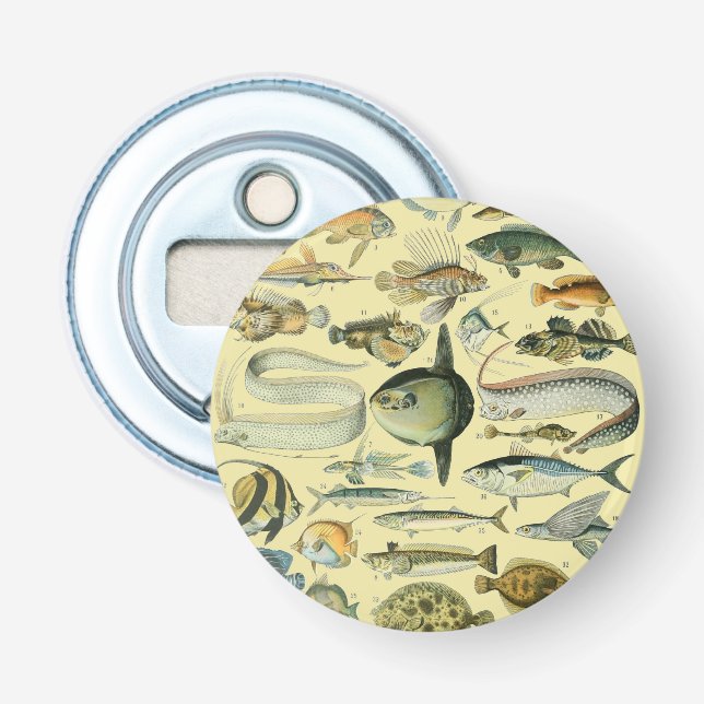 Abrebotellas Arte de pesca científica de peces de época (Anverso)