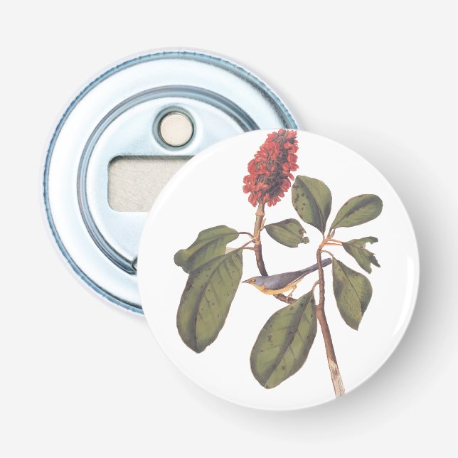 Abrebotellas Audubon Bonaparte Flycatcher Songbird y Magnolia (Anverso)