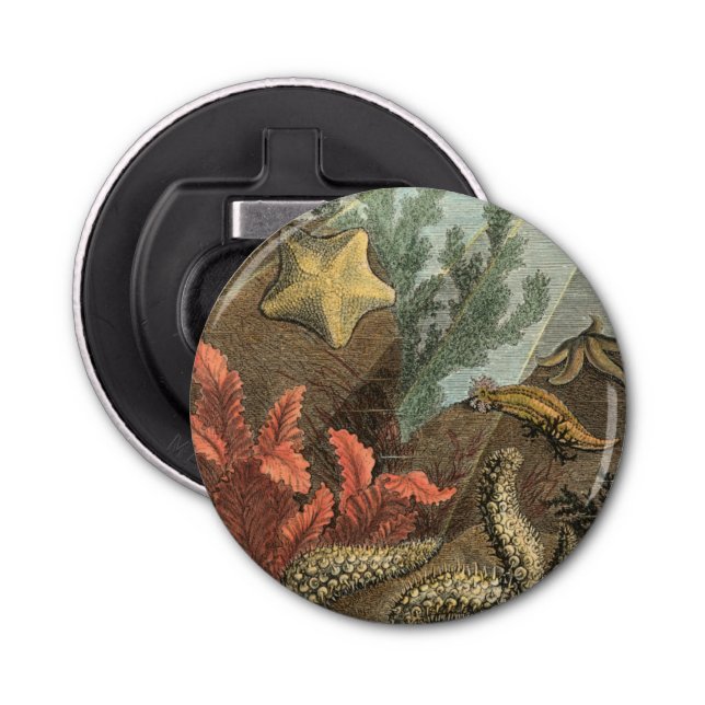 Abrebotellas Bajo el mar (Anverso)