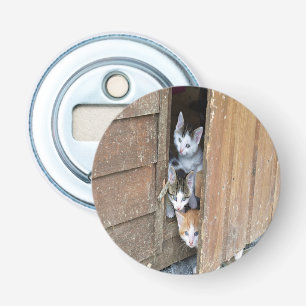 Abrebotellas Barnyard Kittens