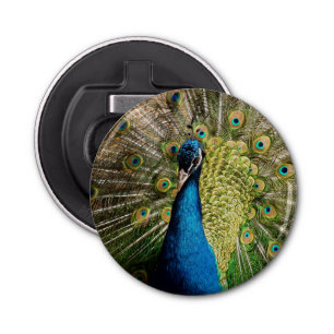 Abrebotellas Bashful Peacock