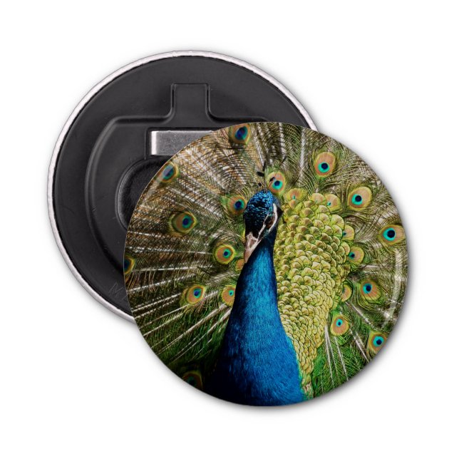 Abrebotellas Bashful Peacock (Anverso)