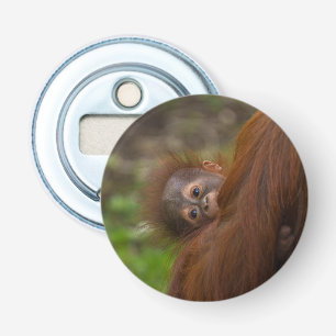 Abrebotellas Bebé de Orangután Con Un Peek