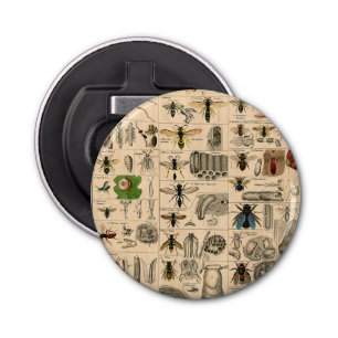 Abrebotellas Bee Insect Bug Wasp Abejas de Historia Natural