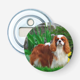 Abrebotellas Blenheim Cavalier King Charles Spaniel Perro de Ca