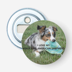 Abrebotellas Blue_Merle_Miniature_American_Shepherd love w pict