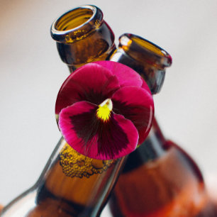 Abrebotellas Bonito Púrpura Pansy Floral