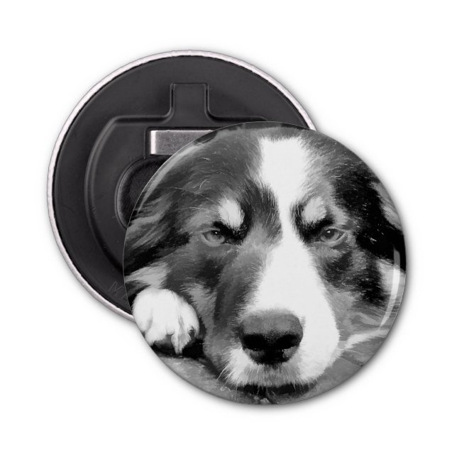 ABREBOTELLAS BORDER COLLIE (Anverso)