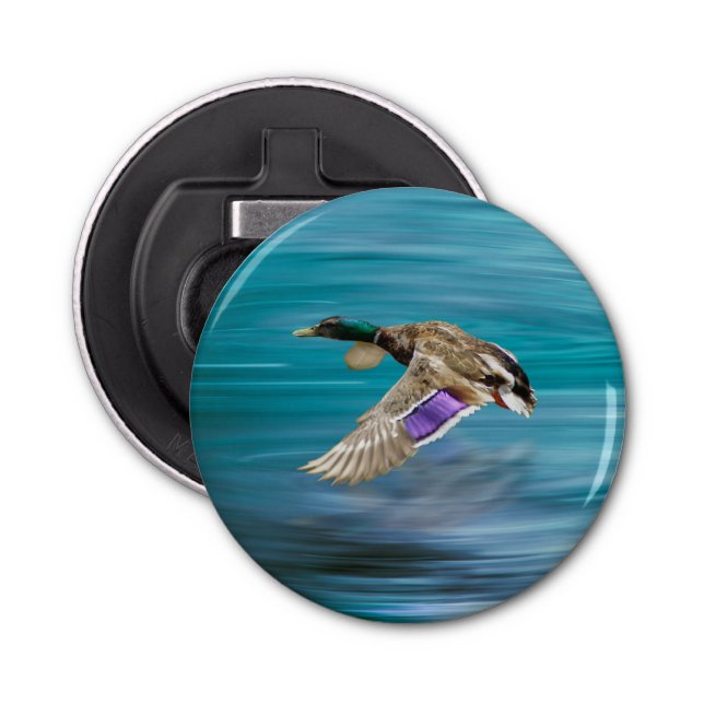 Abrebotellas Botón de vuelo del pato mallard (Anverso)