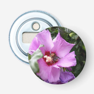 Abrebotellas Bumblebee en la flor de Hibiscus