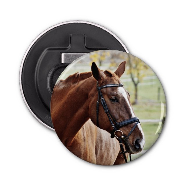 Abrebotellas Caballo de castaño con brillo, brindis, en pasto (Anverso)