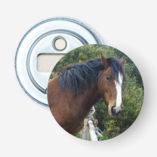 Abrebotellas Caballo de Clydesdale ,Apertura de botella magnéti