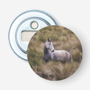 Abrebotellas Caballo gris hermoso