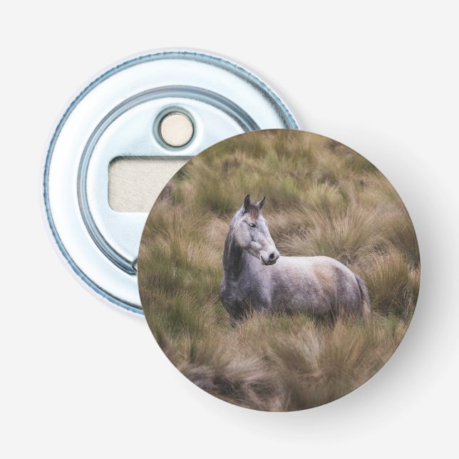 Abrebotellas Caballo gris hermoso (Anverso)