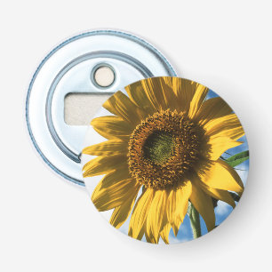 Abrebotellas California, un girasol gigante (Helianthus) 2