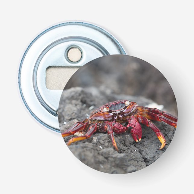 Abrebotellas Cangrejo de roca roja (Anverso)