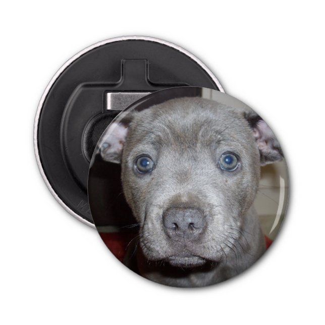 Abrebotellas Cara De Cachorro Azul Staffy, Apertura De Botella  (Anverso)