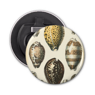 Abrebotellas Cascos de mar de forma única