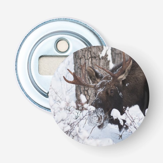 Abrebotellas Chilly Moose (Anverso)