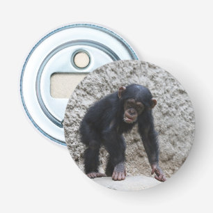 Abrebotellas Chimpanzee 031