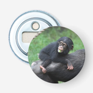 Abrebotellas Chimpanzee 032