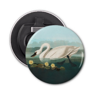 Abrebotellas cisnes de agua blanca de cisne audubon