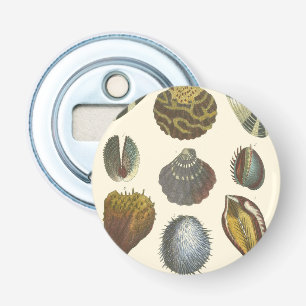 Abrebotellas Colección de la conquiliología