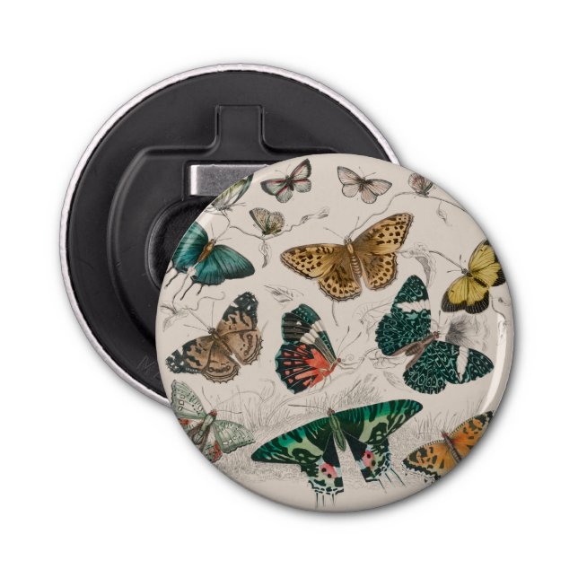 Abrebotellas Colección de mariposa Mariposas antiguas (Anverso)
