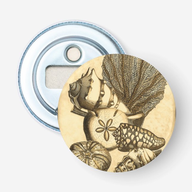 Abrebotellas Conchas neutrales y recolección de corales (Anverso)