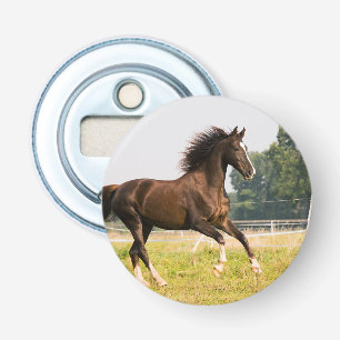 Abrebotellas Crea tu propia foto de caballo de mascota personal
