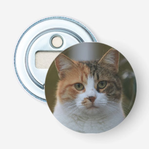 Abrebotellas Crea Tu Propia Foto Personalizada de Gato Mascota