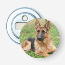 Crea tu propia foto personalizada de tu mascota