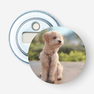Abrebotellas Crea tu propia foto personalizada de tu mascota